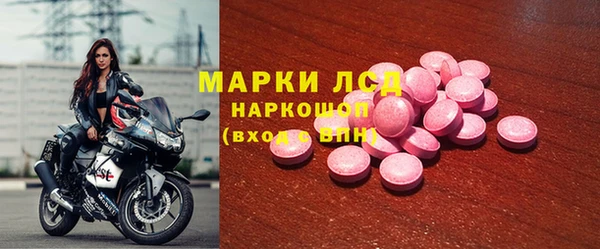 ГАЛЛЮЦИНОГЕННЫЕ ГРИБЫ Липки