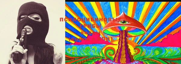 винт Бронницы