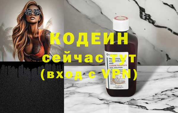 2c-b Бородино