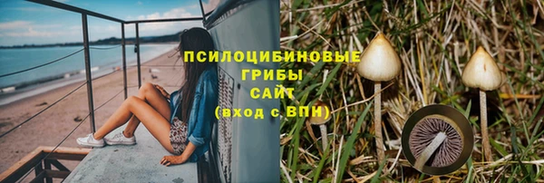 2c-b Бородино
