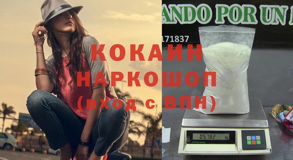 2c-b Бородино