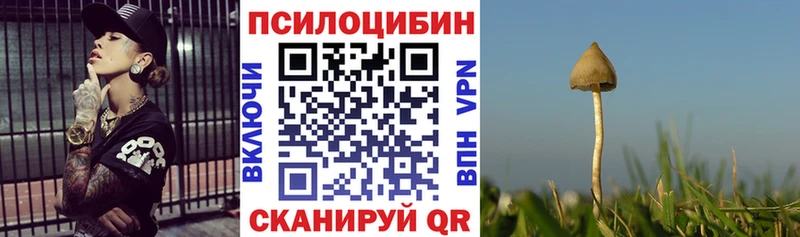 как найти наркотики  Вичуга  Псилоцибиновые грибы Cubensis 