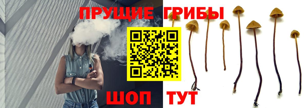 Псилоцибиновые грибы прущие грибы  Псилоцибиновые грибы MAGIC MUSHROOMS  Вичуга  Вход с VPN 
